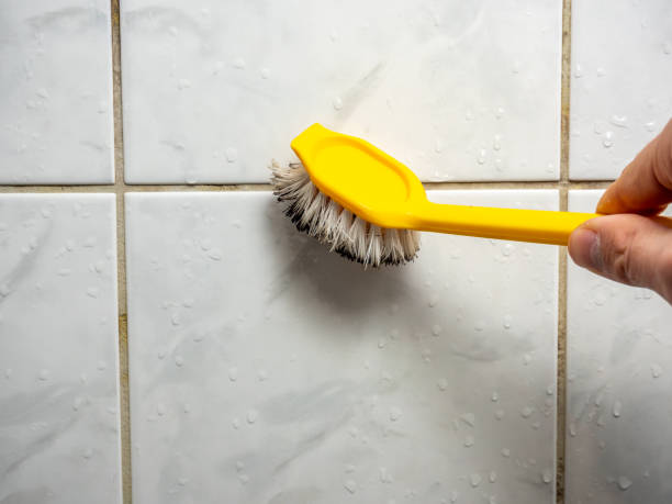 Reliable Roseland, LA Mold Removal Solutions
