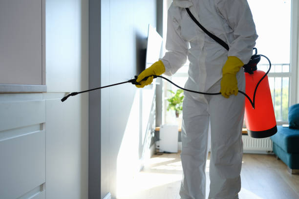 Best Professional Mold Removal  in Rosend, LA