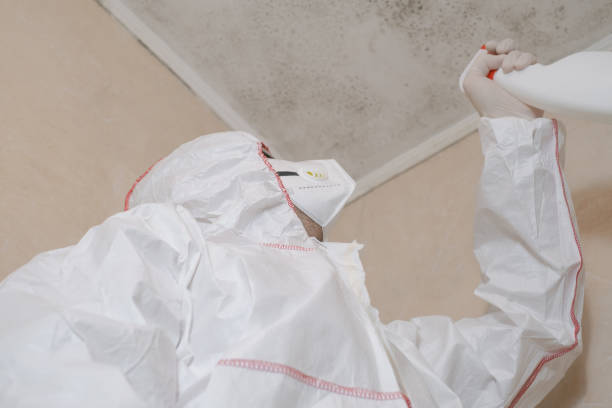 Best Residential Mold Removal  in Rosend, LA