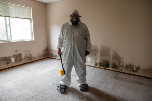 Office Mold Removal Services in Roseland, LA
