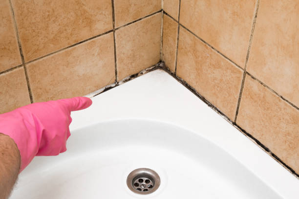 Best Mold Remediation  in Rosend, LA
